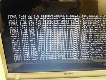 ウイルス感染のような画面